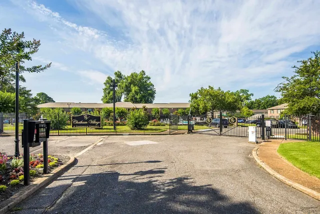 a view of a yard with plants