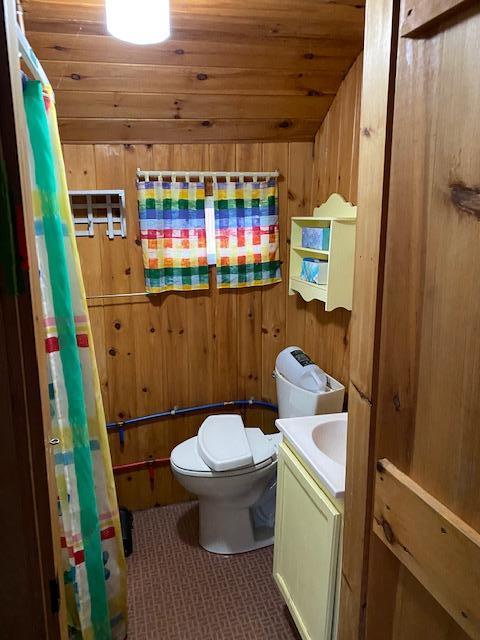 61 Birch Point Road, Unit 4 Greenville, ME 04441 - Photo 17 of 20 IMG_1260