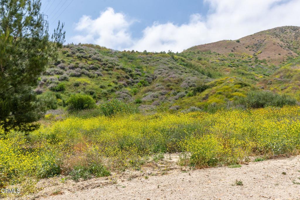 3629 Center Street Piru, CA 93040 - Photo 17 of 26 20240523154802912282000000-o