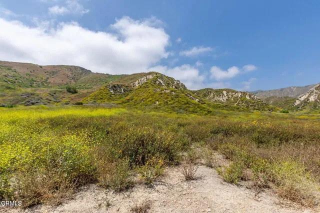 $1,450,000 | 3629 Center Street, Piru, CA 93040