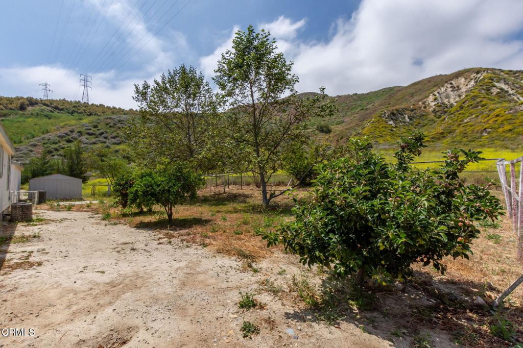 3629 Center Street Piru, CA 93040 - Photo 20 of 26 20240523154812110227000000-o