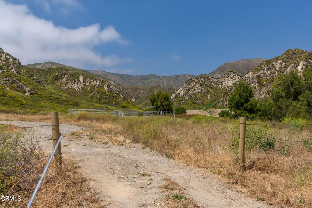 3629 Center Street Piru, CA 93040 - Photo 21 of 26 20240523154822960317000000-o