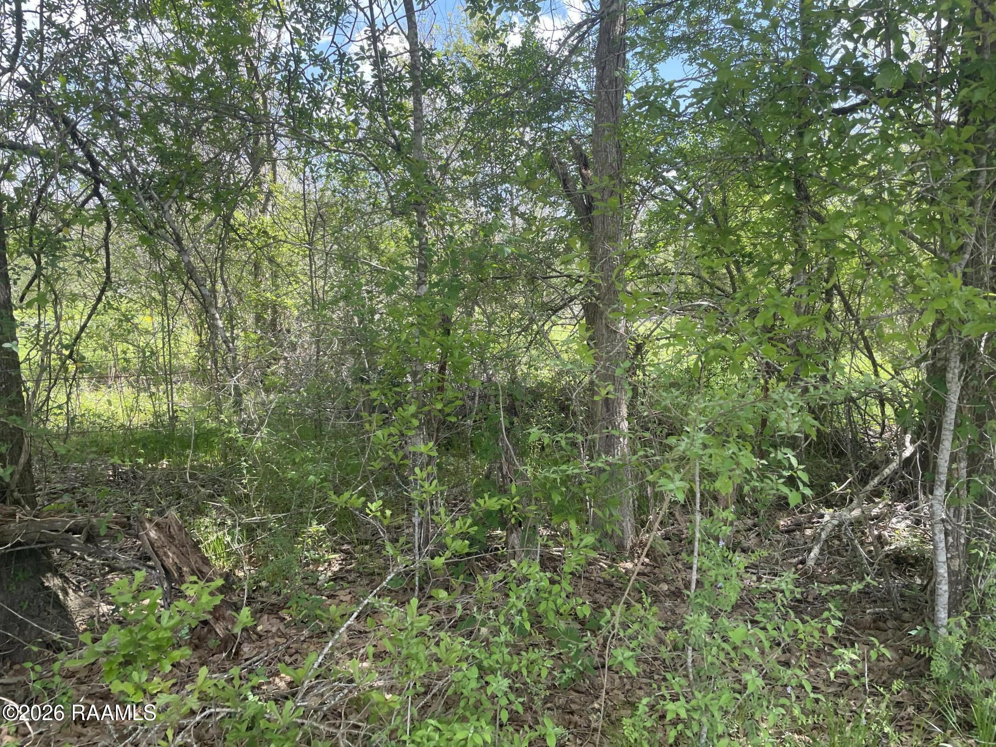 4822 Verot School Road Youngsville, LA 70592 - Photo 4 of 11