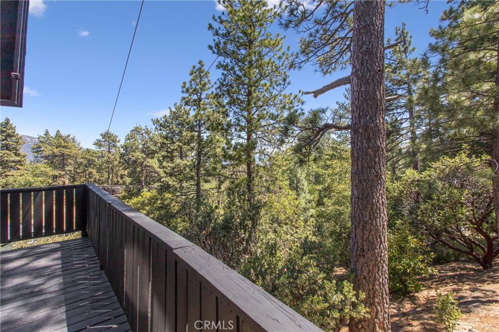 24875 Marion Ridge Drive Idyllwild, CA 92549 - Photo 7 of 48