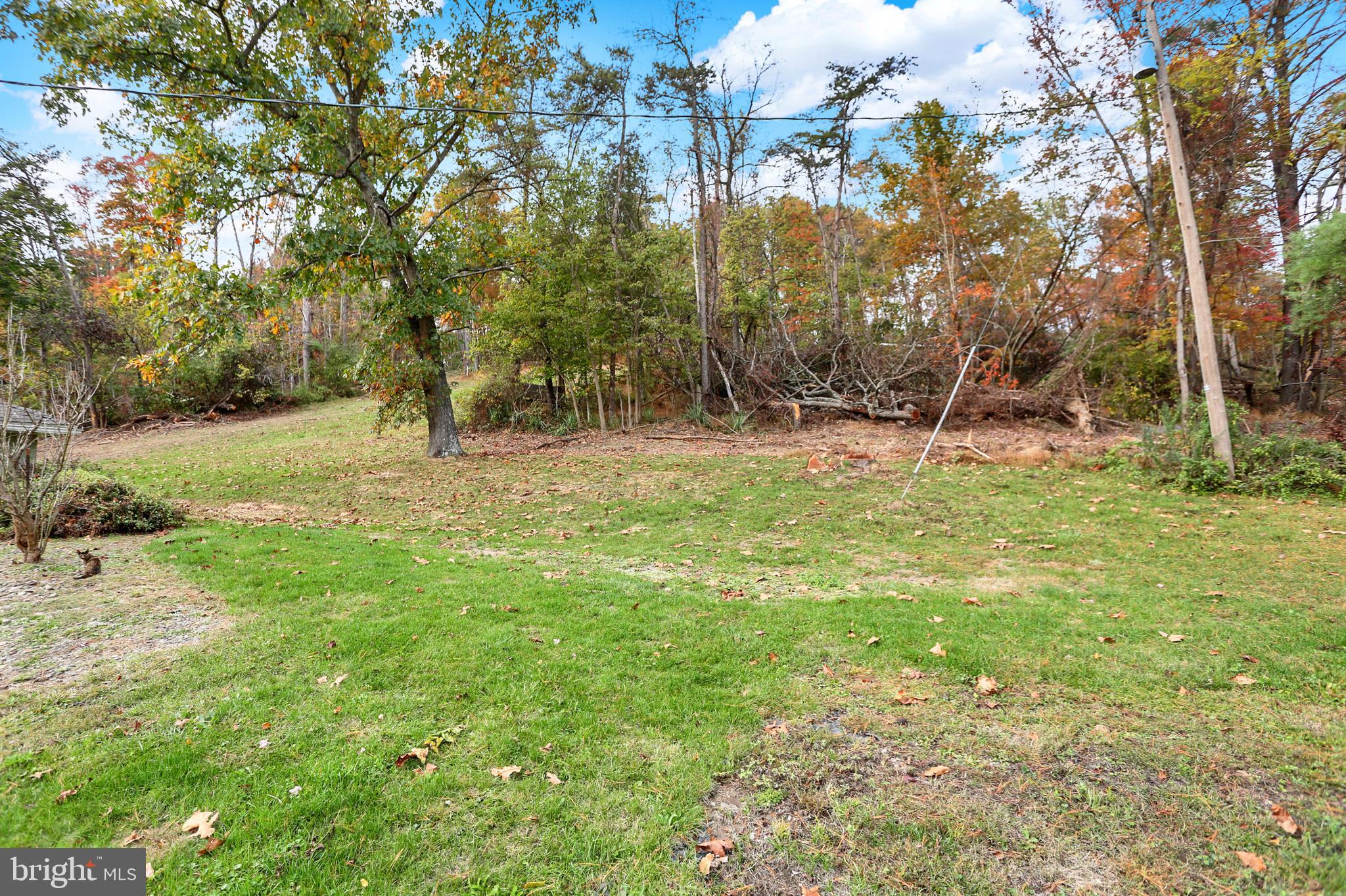 64 Metz Road Thompsontown, PA 17094 - Photo 14 of 59 a view of a yard with a tree
