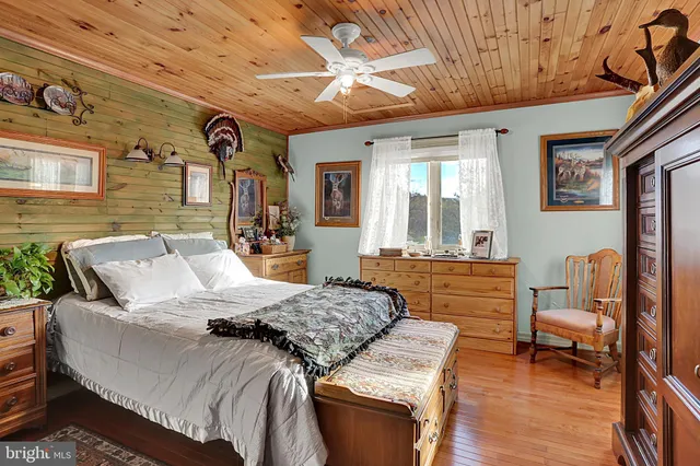 a view of a field with trees