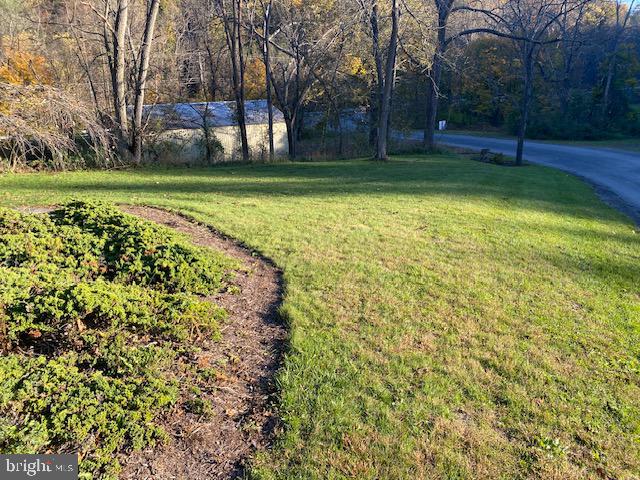 64 Metz Road Thompsontown, PA 17094 - Photo 57 of 59 a view of a park with large trees