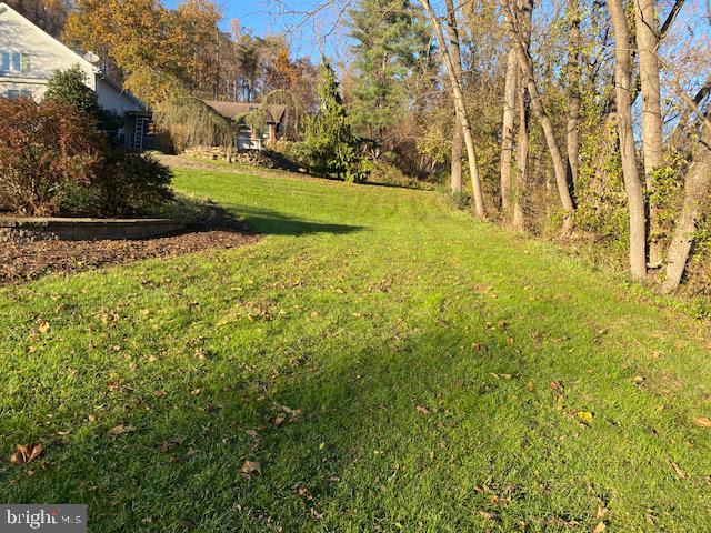 64 Metz Road Thompsontown, PA 17094 - Photo 59 of 59 a view of yard with large trees