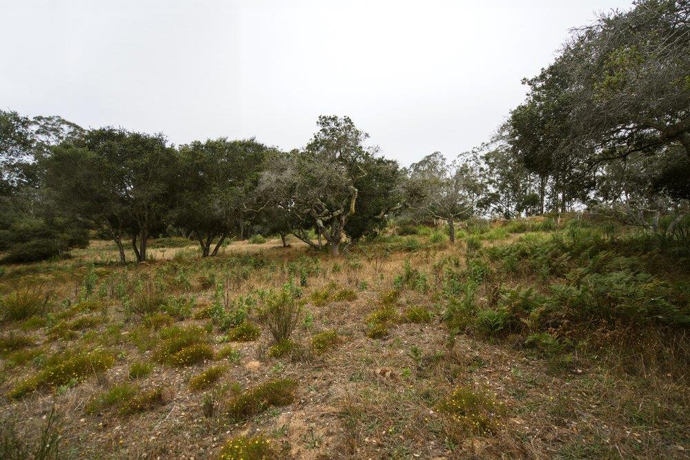 0 Valle Pacifico Road Salinas, CA 93907 - Photo 16 of 45