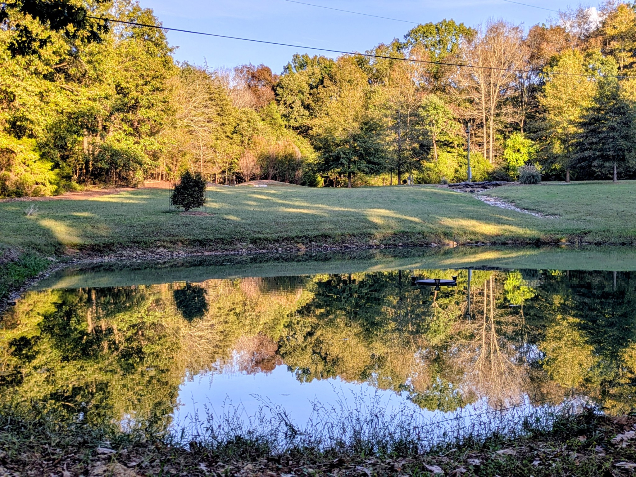 3425 Hopkins Bridge Road Unionville, TN 37180 - Photo 1 of 12 a view of a yard with an outdoor space