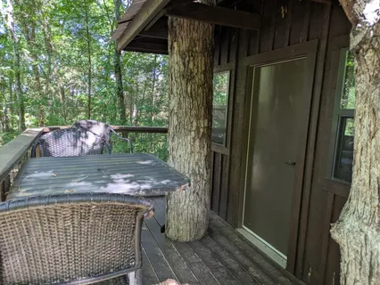 a view of a big yard with large trees