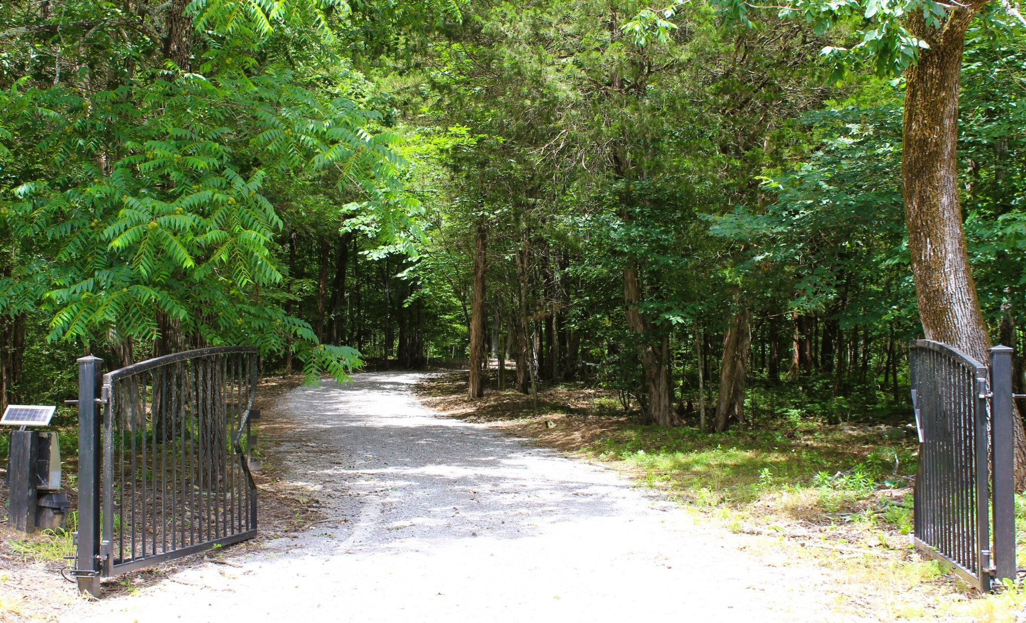 3425 Hopkins Bridge Road Unionville, TN 37180 - Photo 46 of 83