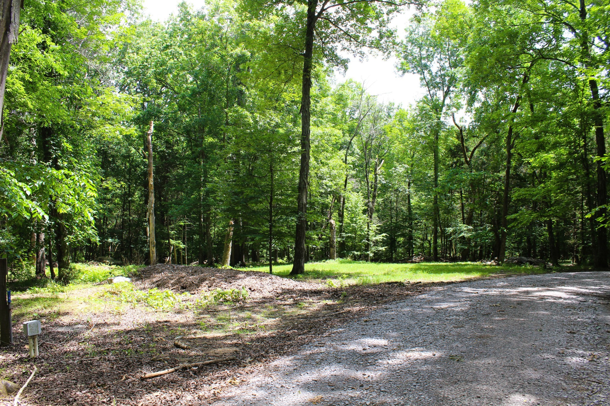 3425 Hopkins Bridge Road Unionville, TN 37180 - Photo 47 of 83 a wooden fence with trees in the background