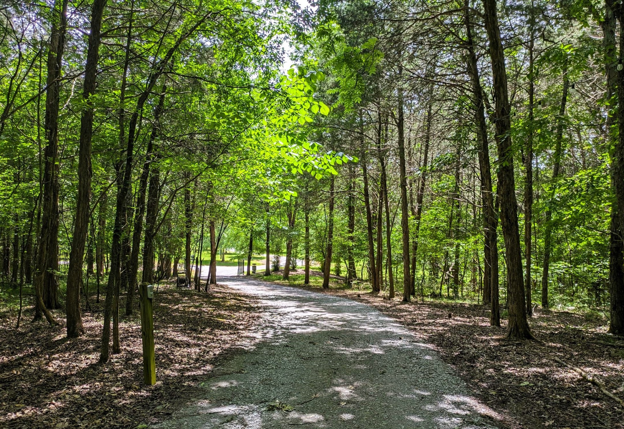 3425 Hopkins Bridge Road Unionville, TN 37180 - Photo 48 of 83 a view of outdoor space and yard
