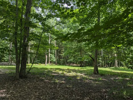 a view of a chairs and table in the garden