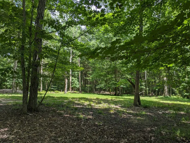 a view of a chairs and table in the garden