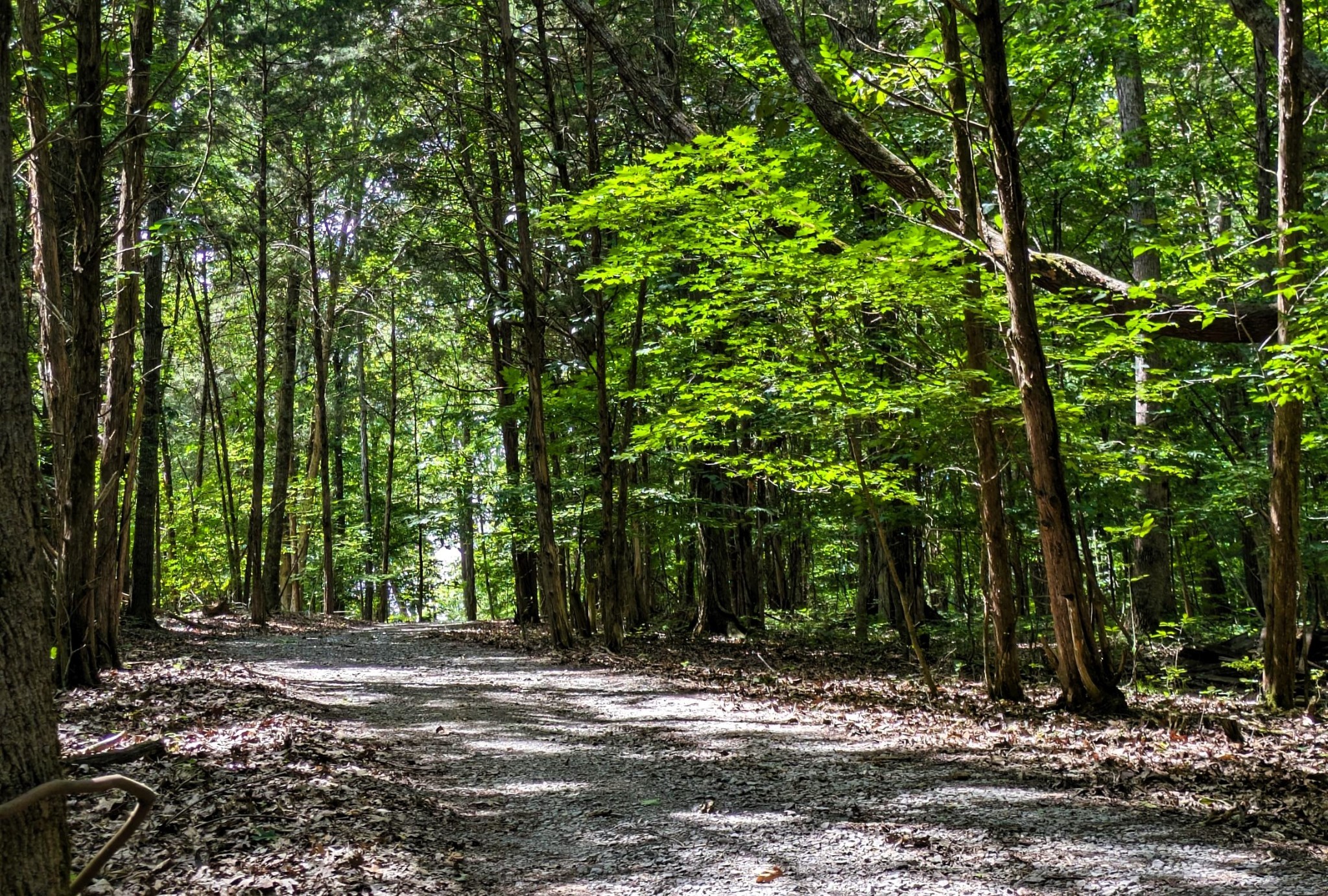 3425 Hopkins Bridge Road Unionville, TN 37180 - Photo 50 of 83