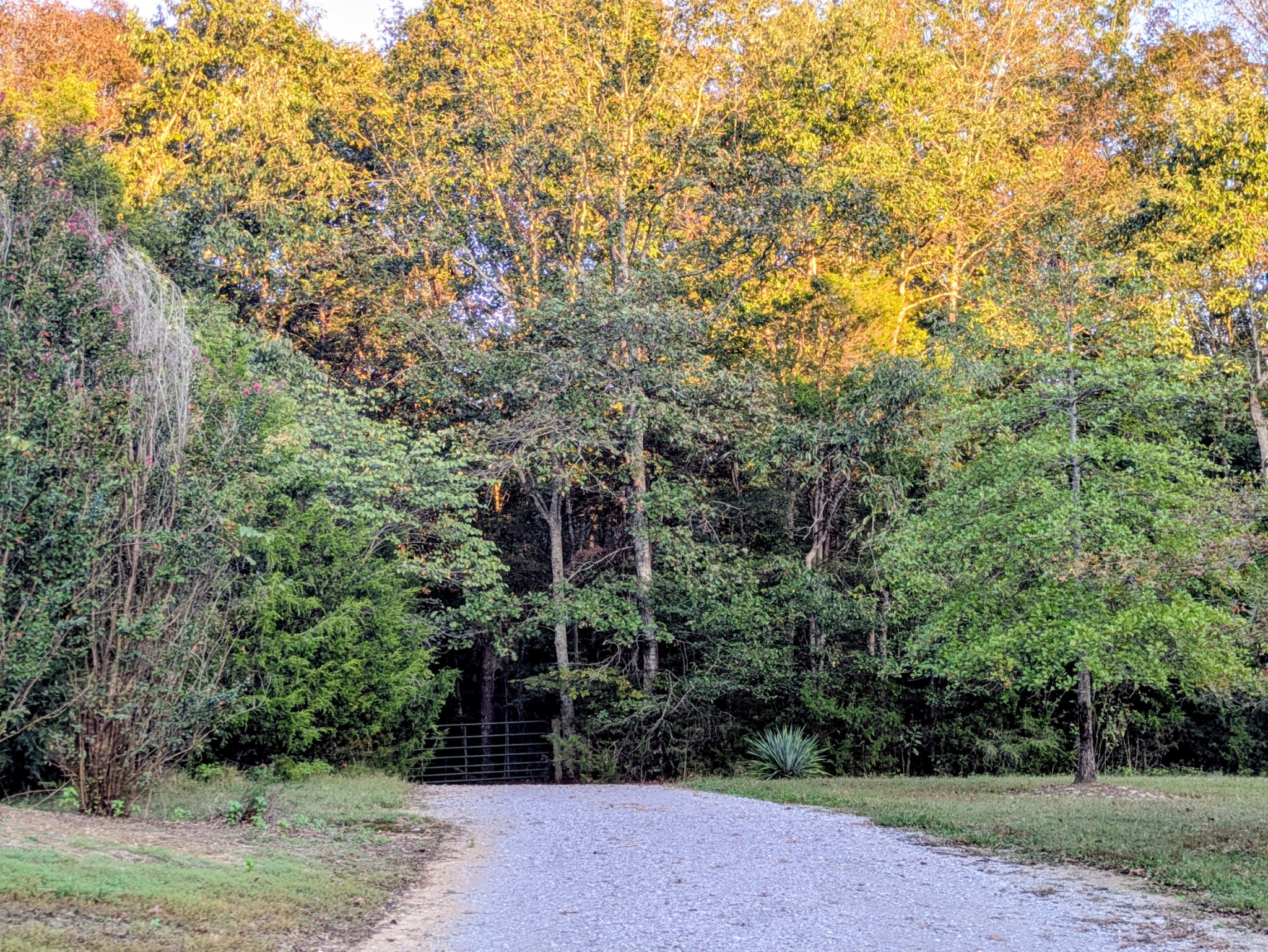 3425 Hopkins Bridge Road Unionville, TN 37180 - Photo 5 of 83