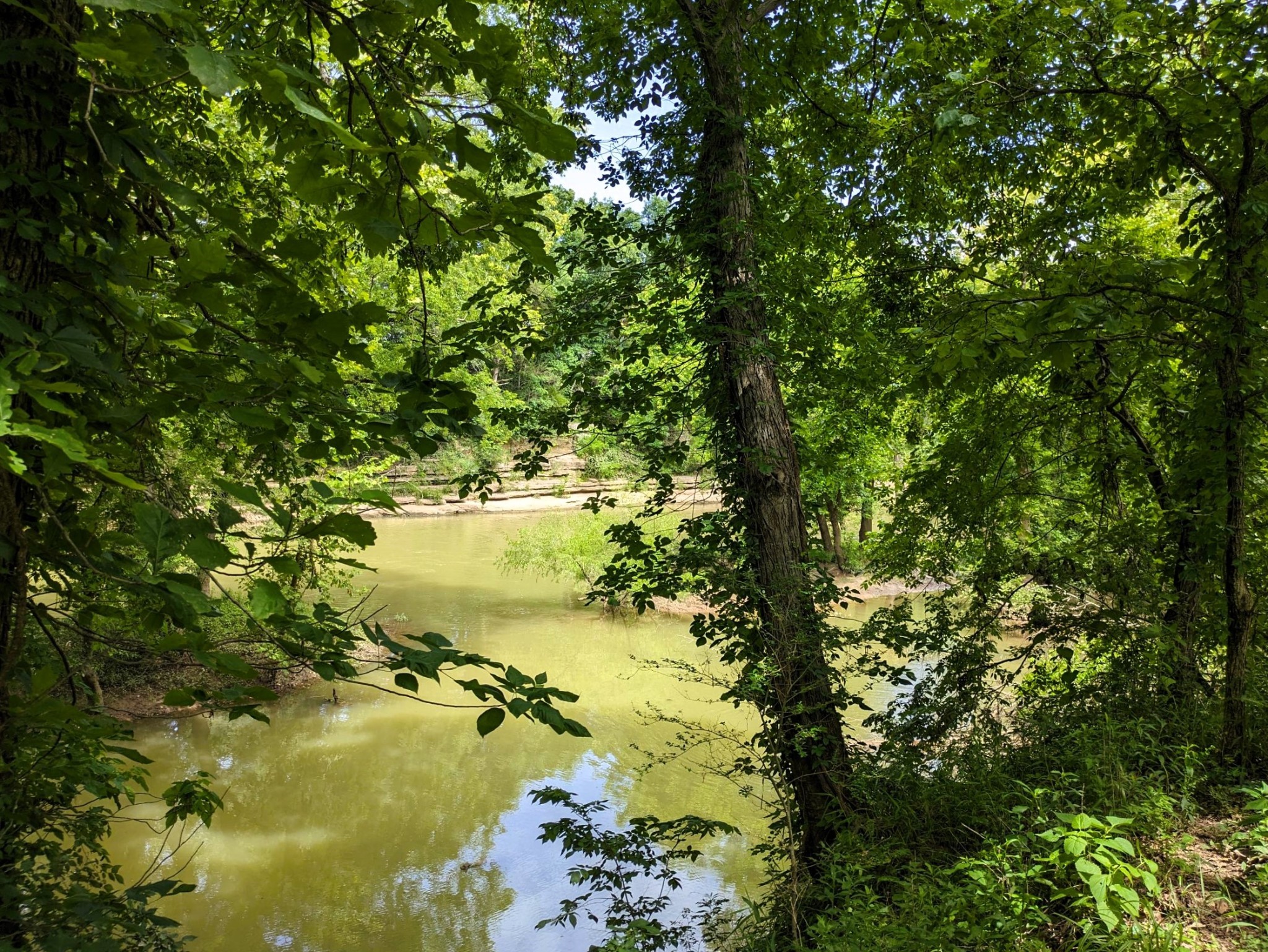 3425 Hopkins Bridge Road Unionville, TN 37180 - Photo 59 of 83