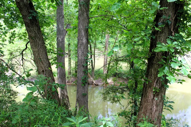 $1,849,000 | 3425 Hopkins Bridge Road, Unionville, TN 37180