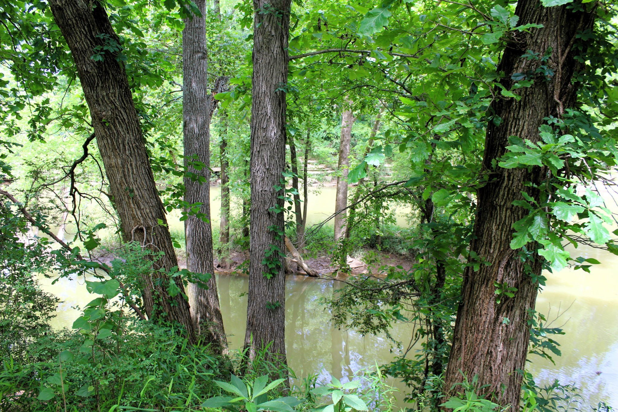 3425 Hopkins Bridge Road Unionville, TN 37180 - Photo 60 of 83