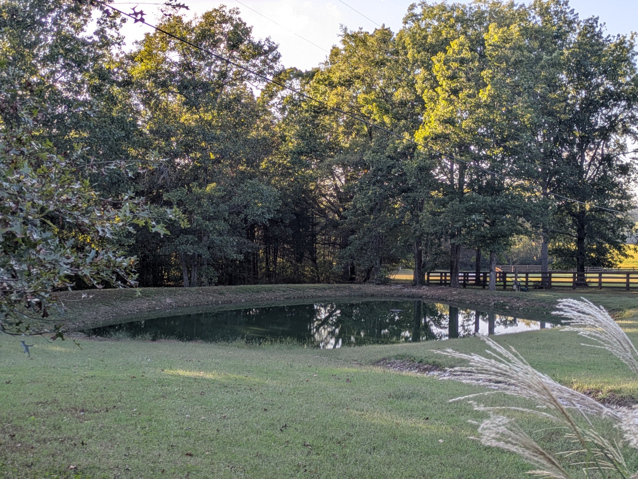 3425 Hopkins Bridge Road Unionville, TN 37180 - Photo 6 of 83