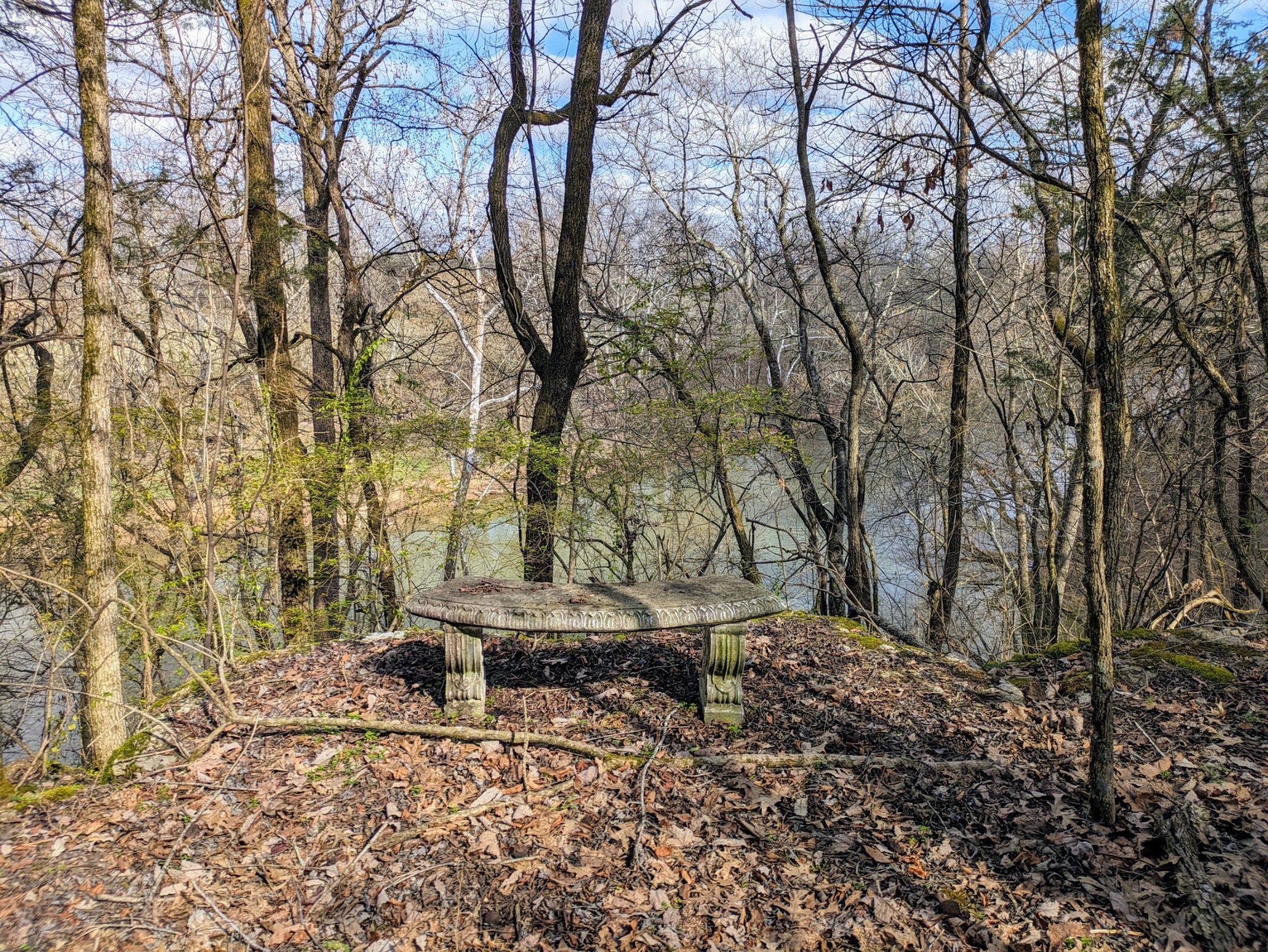 3425 Hopkins Bridge Road Unionville, TN 37180 - Photo 63 of 83 a wooden bench with trees in the background