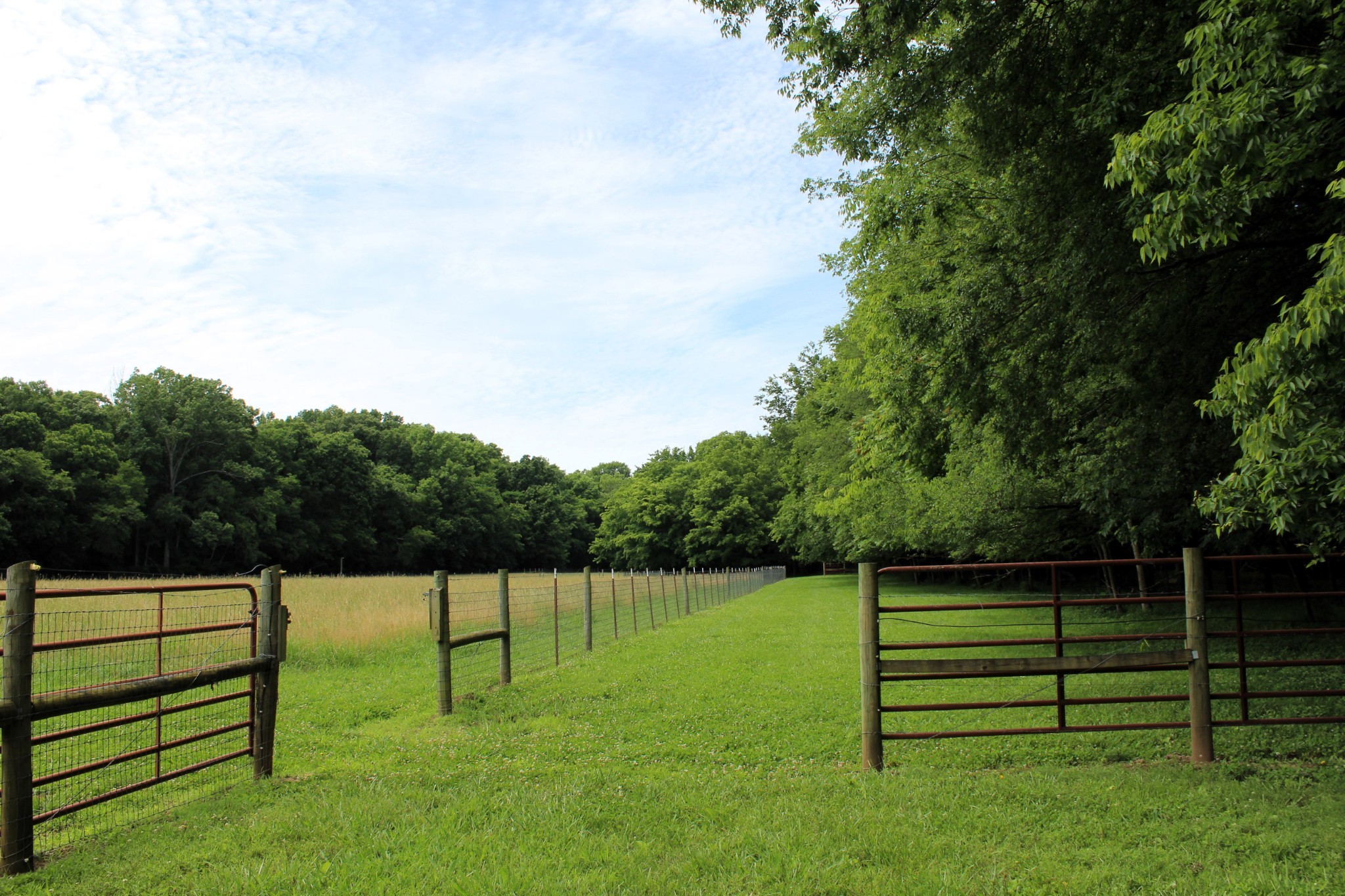 3425 Hopkins Bridge Road Unionville, TN 37180 - Photo 71 of 83