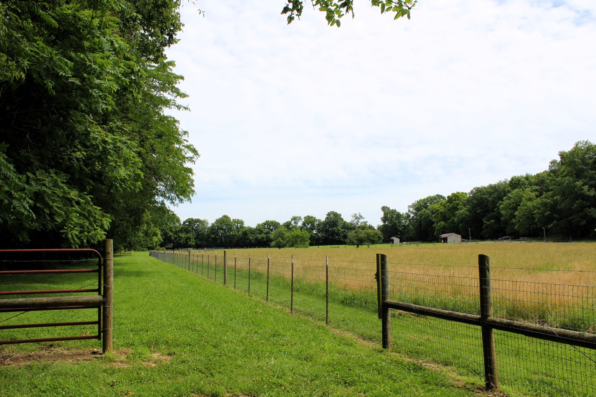 3425 Hopkins Bridge Road Unionville, TN 37180 - Photo 72 of 83