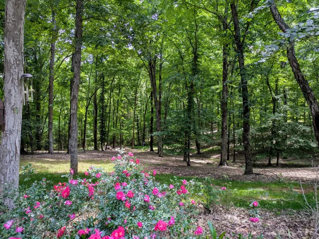 $1,849,000 | 3425 Hopkins Bridge Road, Unionville, TN 37180