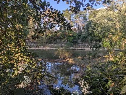 a kitchen with stainless steel appliances white cabinets and a stove top oven