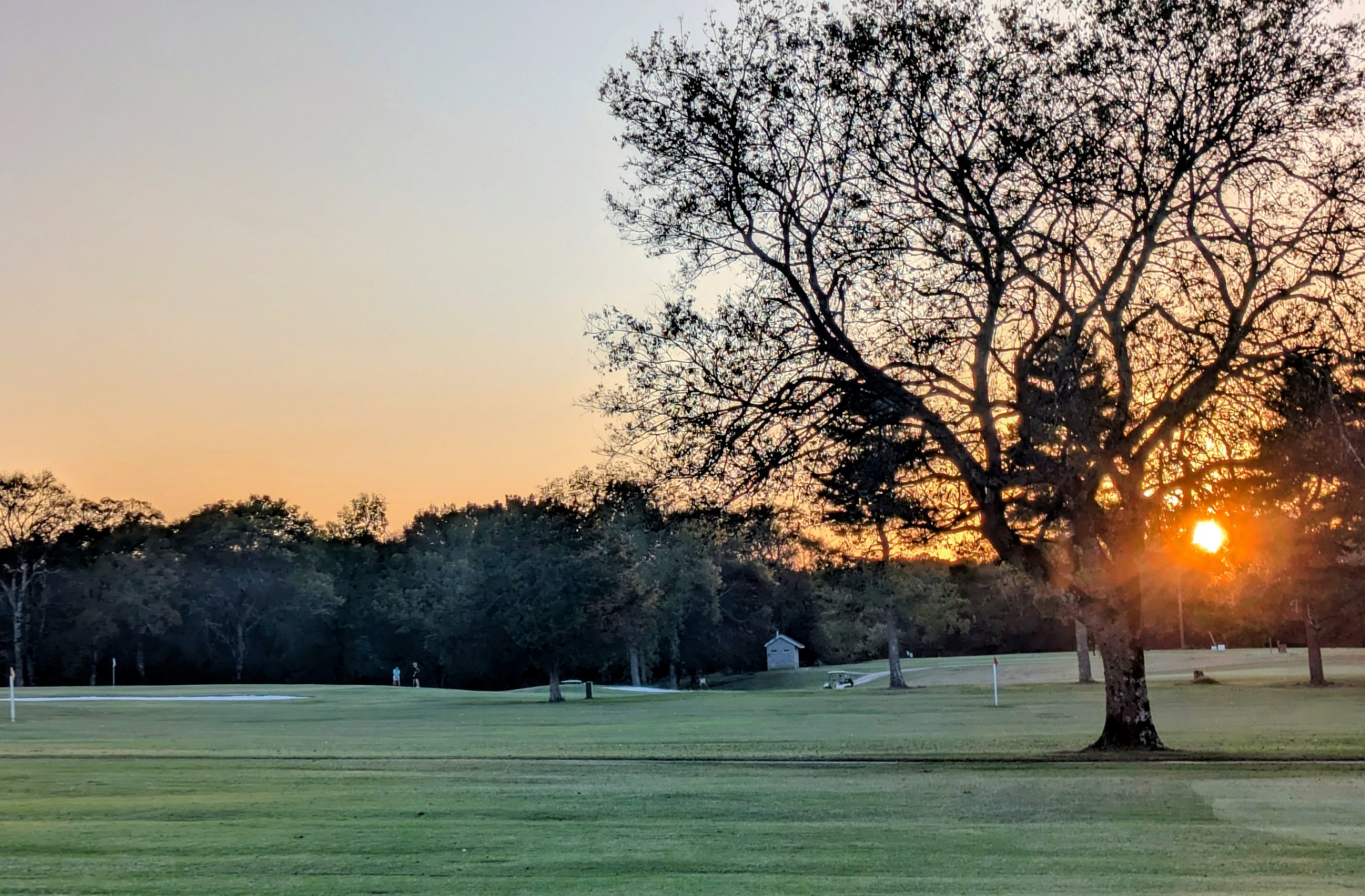 3425 Hopkins Bridge Road Unionville, TN 37180 - Photo 83 of 83