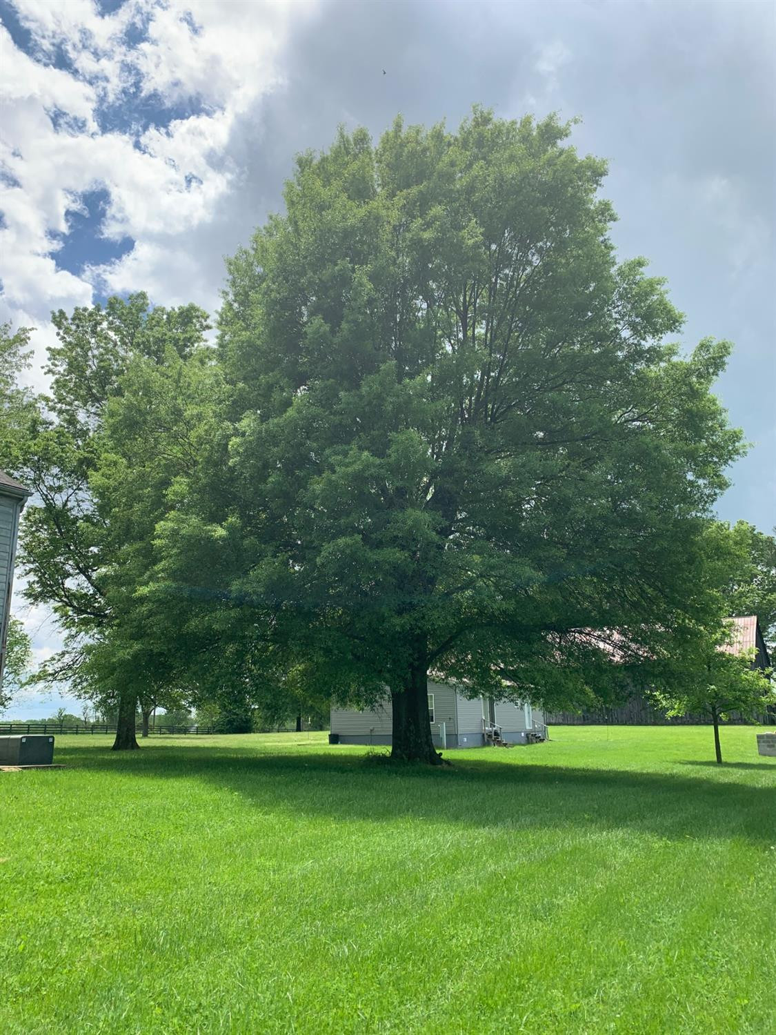 2602 Bethlehem Road Paris, KY 40361 - Photo 8 of 37 Photo 8