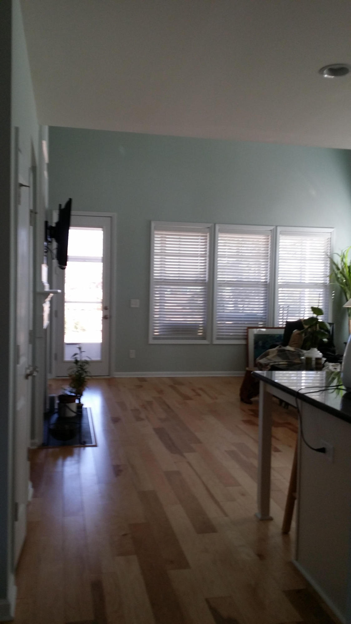 1308 Raven Road Hanahan, SC 29410 - Photo 19 of 49 20150205_133158
