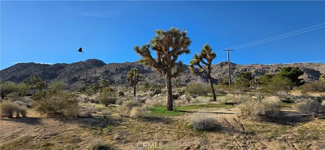 $479,000 | 60917 Navajo Trail, Joshua Tree, CA 92252