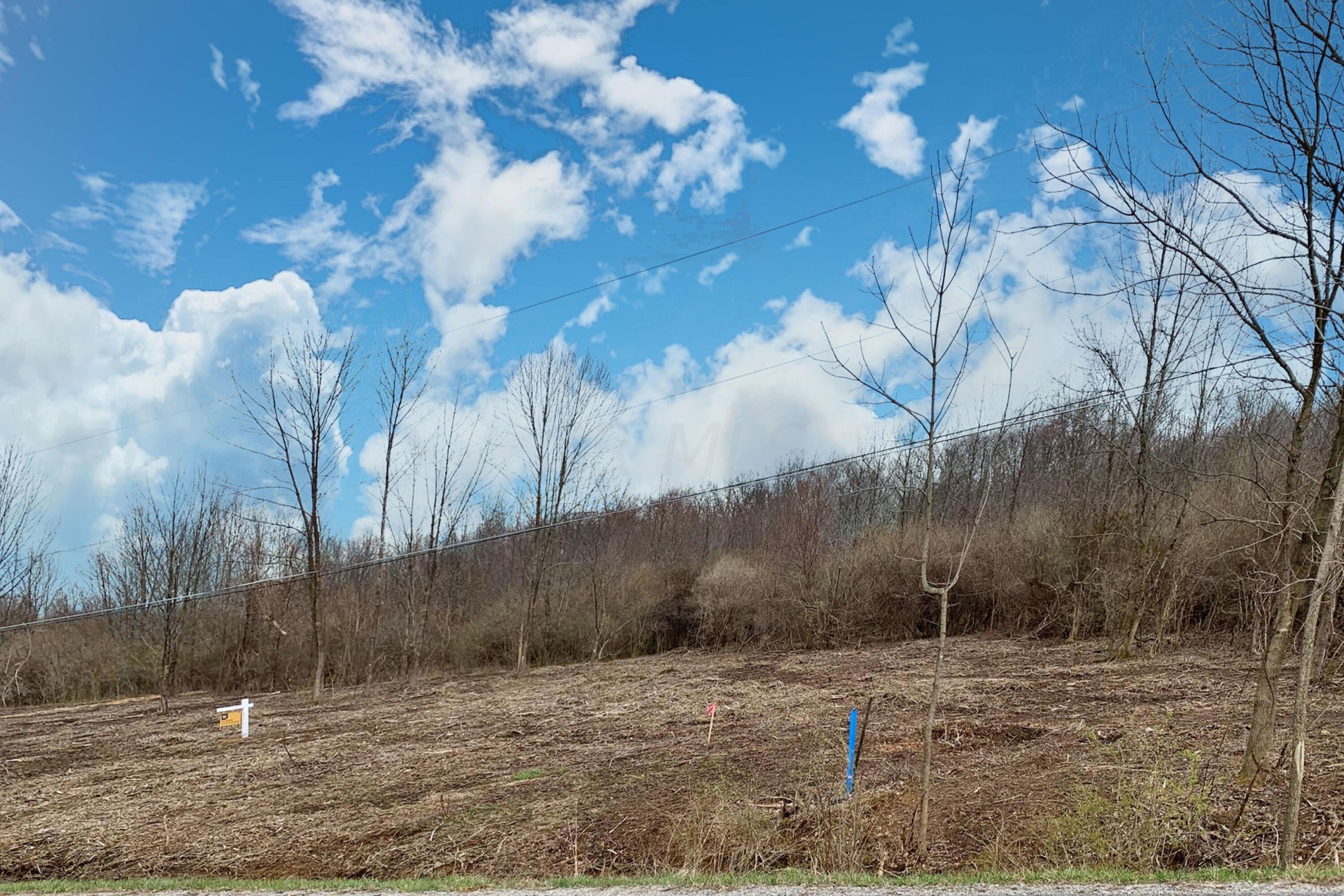 5563 Red Bank Road, Unit TRACT C Galena, OH 43021 - Photo 6 of 32 6.-NW-View-of-Lot-From-Road--.jpeg