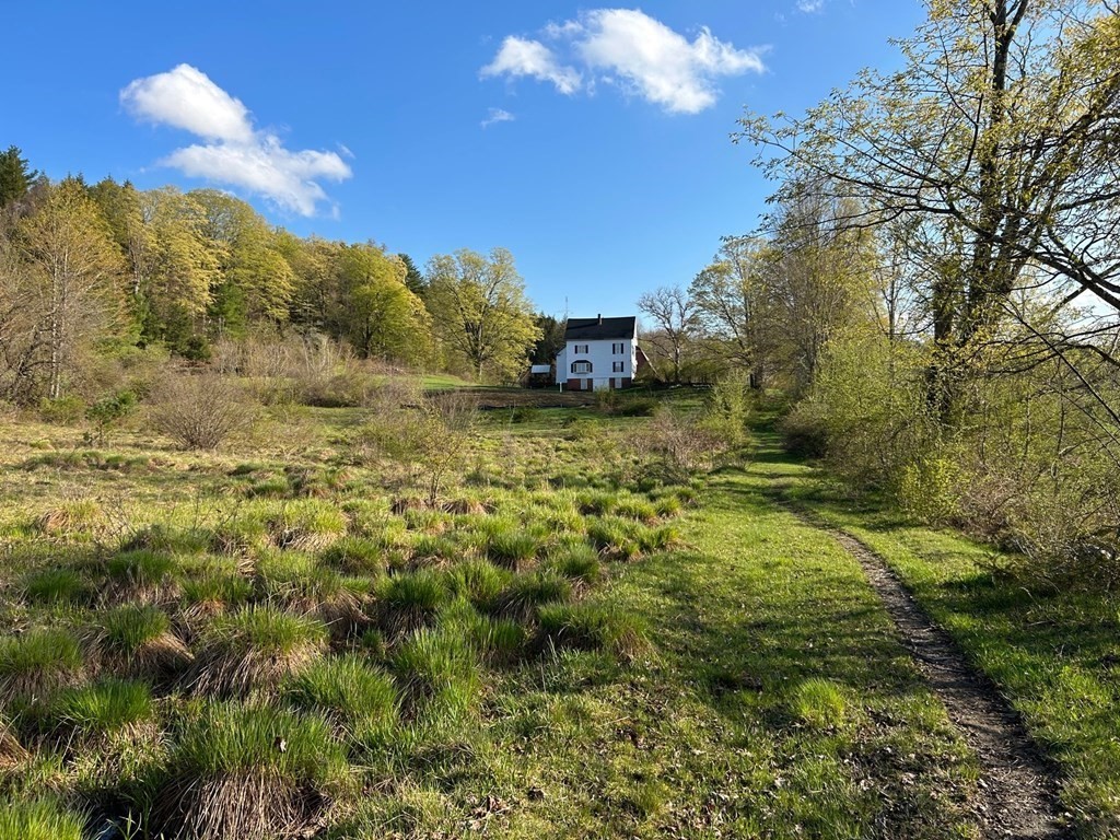 19 West S Black Road Leyden, MA 01337 - Photo 7 of 42 a view of a yard