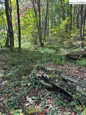 $10,000 | Lot 36 Beechwood Circle, Creston, NC 28615