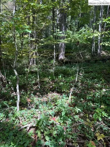 $10,000 | Lot 36 Beechwood Circle, Creston, NC 28615