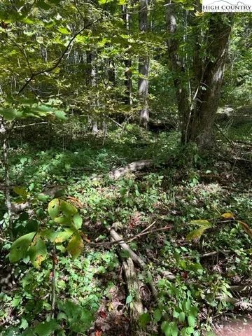 $10,000 | Lot 36 Beechwood Circle, Creston, NC 28615