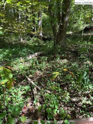 $10,000 | Lot 36 Beechwood Circle, Creston, NC 28615