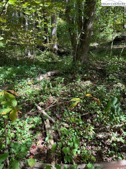 Lot 36 Beechwood Circle Creston, NC 28615 - Photo 4 of 5