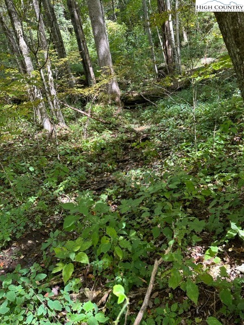 Lot 36 Beechwood Circle Creston, NC 28615 - Photo 5 of 5