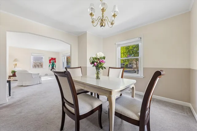 a view of a dining room with furniture and a potted plant