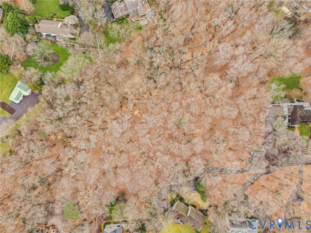 11240 Turnley Lane Midlothian, VA 23113 - Photo 13 of 15 a close up of a white wall with a tree