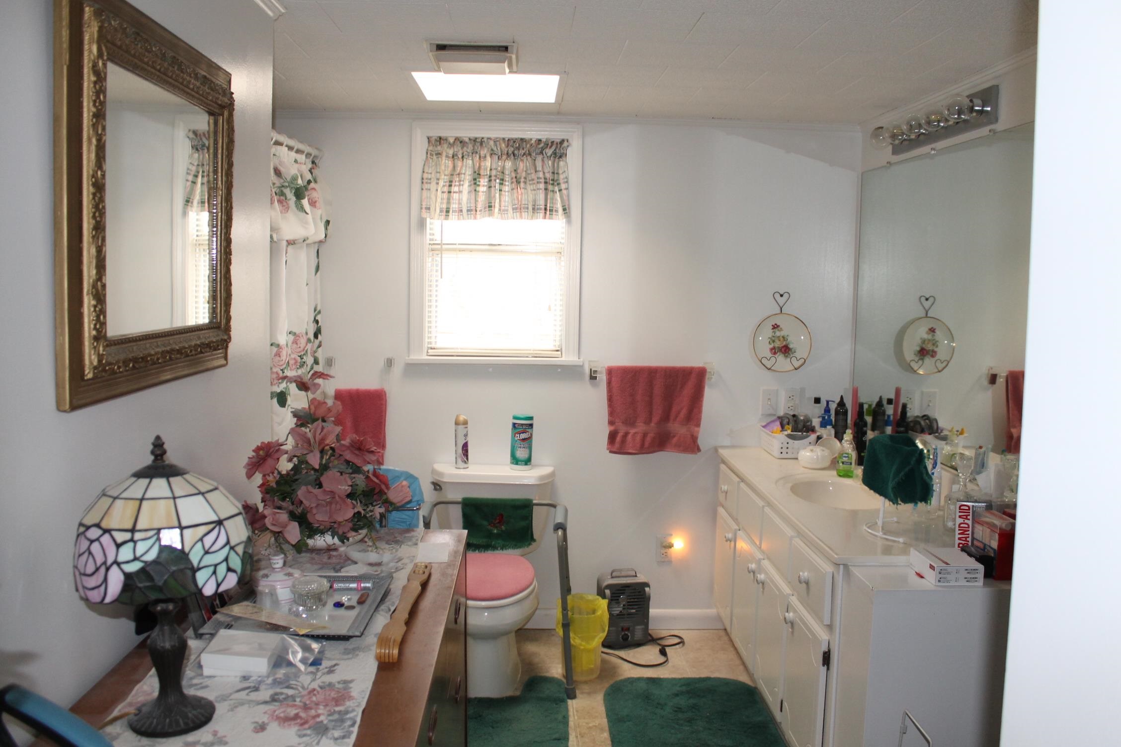 260 Bluebird Road Counce, TN 38326 - Photo 10 of 15 a bathroom with a sink mirror vanity and toilet