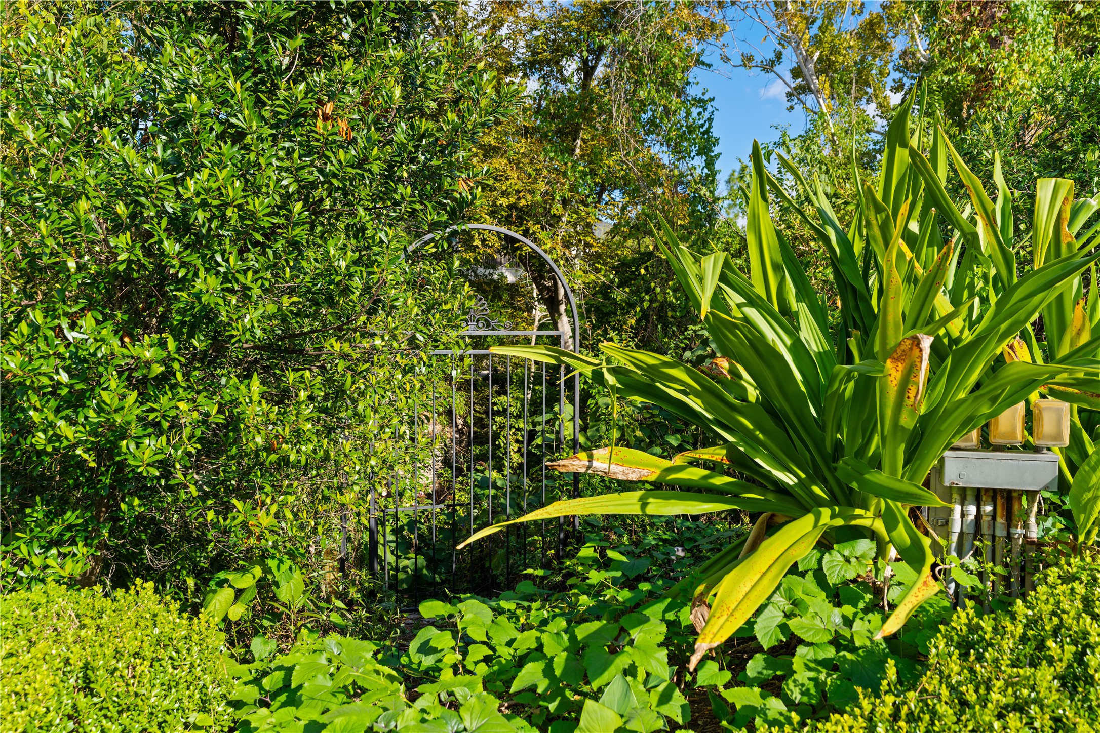 26 Crestwood Drive Houston, TX 77007 - Photo 14 of 24 North side of residence right grounds with doors to the study. Great for a playhouse or gardens.