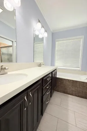 a bathroom with a sink double vanity and a bathtub