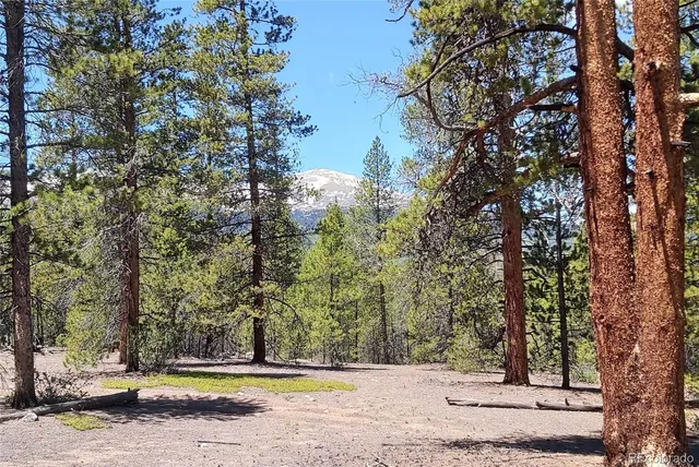 $385,000 | 445 Mount Massive Drive, Twin Lakes, CO 81251