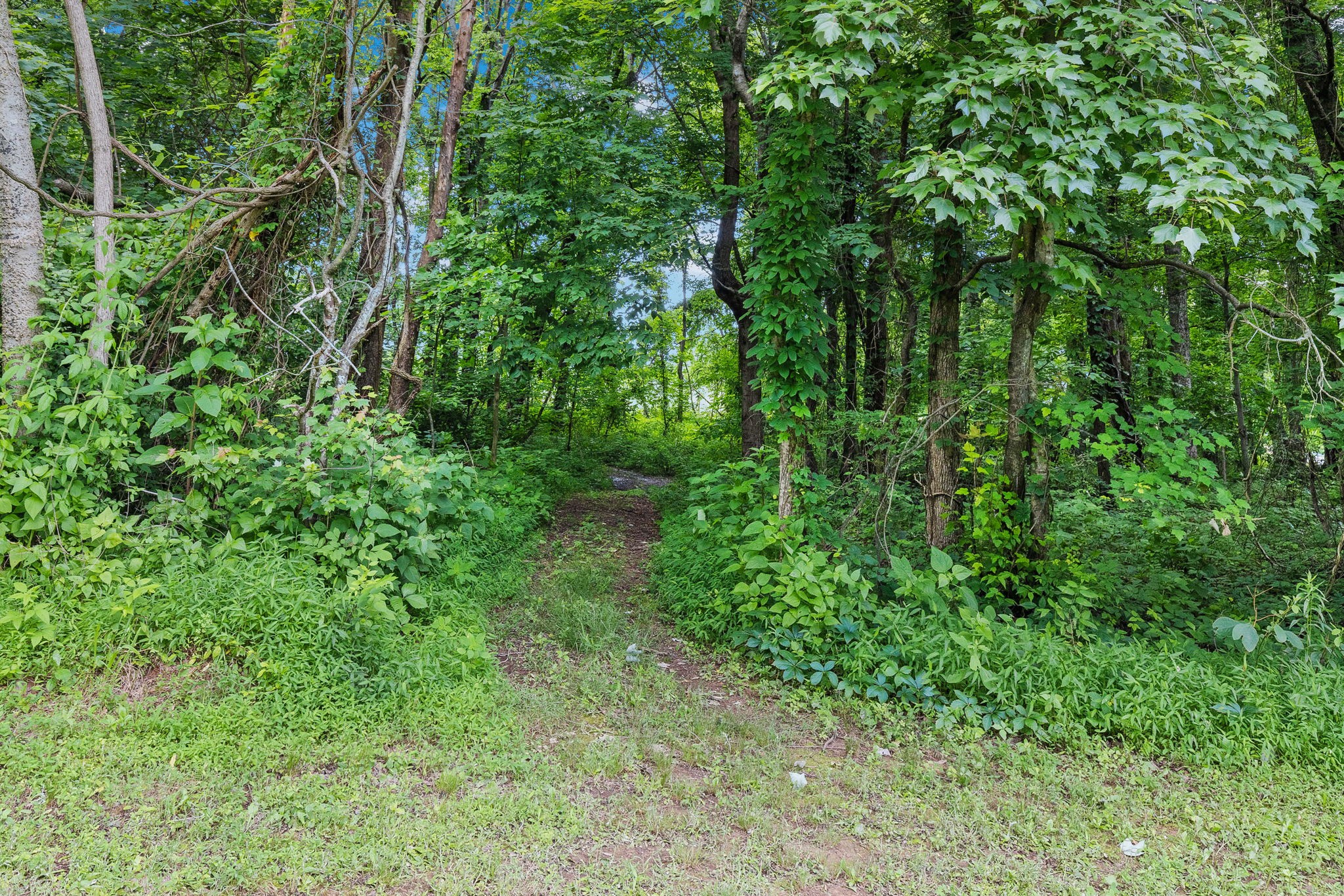 4476 Beards Chapel Road Springfield, TN 37172 - Photo 51 of 62